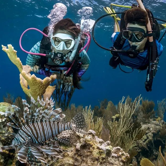Learn To Dive Course