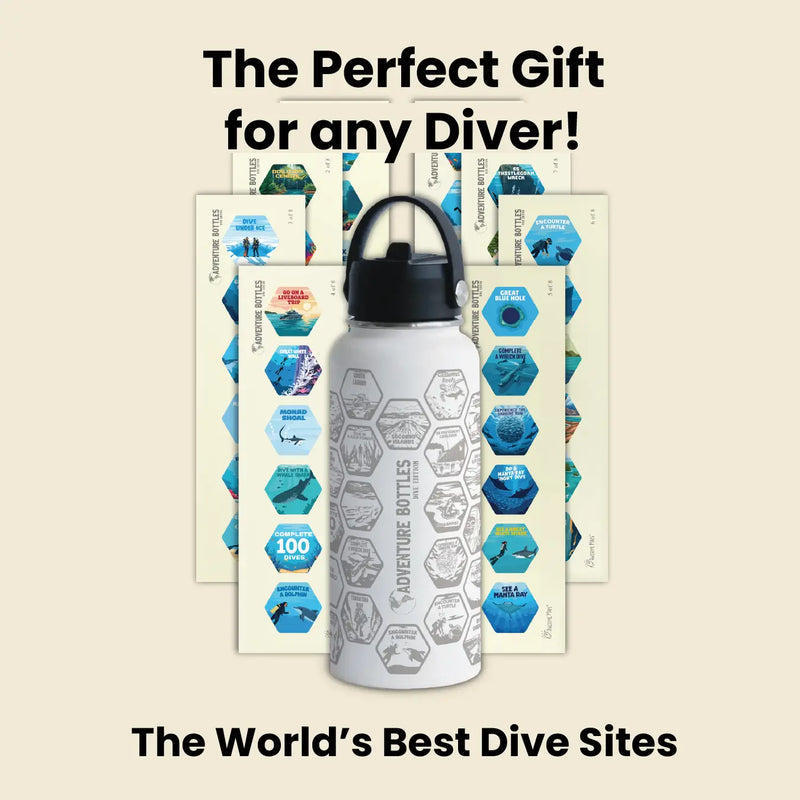 Dive Adventure Water Bottle + Stickers by Awesome Maps