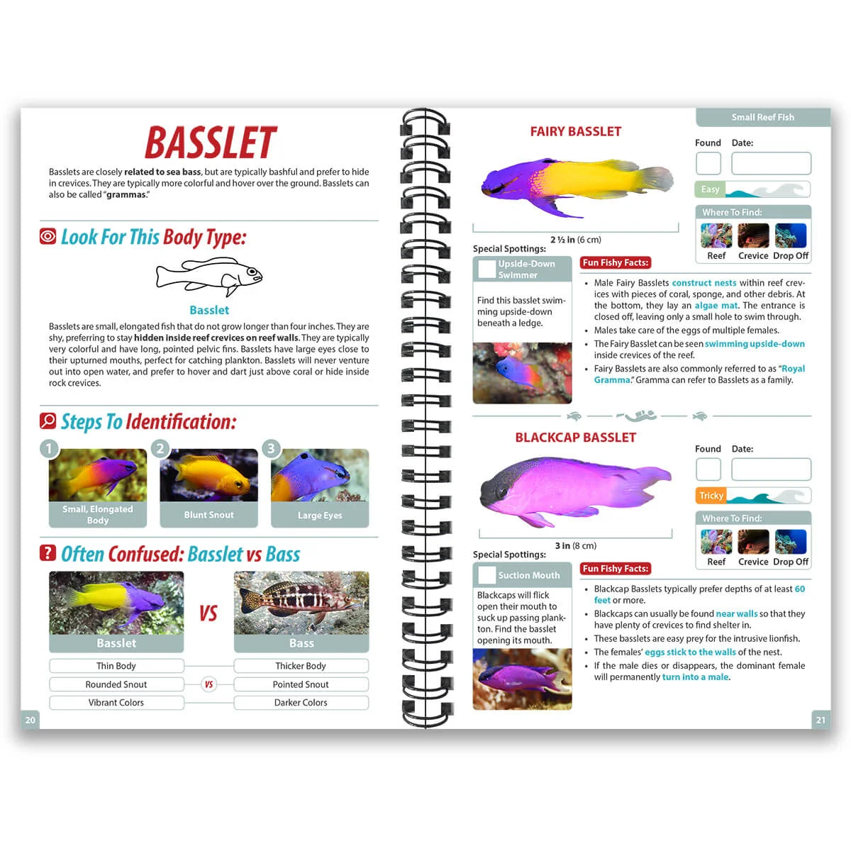 Underwater Spotter Belize Ocean Life Guide – Fish ID & Scavenger Hunt