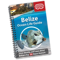 Underwater Spotter Belize Ocean Life Guide – Fish ID & Scavenger Hunt