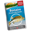 Underwater Spotter Bonaire Ocean Life Guide – Fish ID & Scavenger Hunt