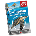 Underwater Spotter Caribbean Ocean Life Guide – Fish ID & Scavenger Hunt