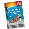 Underwater Spotter Cayman Islands Ocean Life Guide – Fish ID & Scavenger Hunt