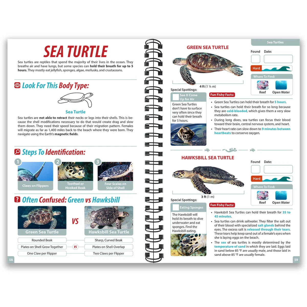 Underwater Spotter Cayman Islands Ocean Life Guide – Fish ID & Scavenger Hunt