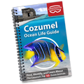 Underwater Spotter Cozumel Ocean Life Guide – Fish ID & Scavenger Hunt