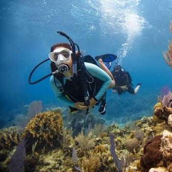 Diver in the water