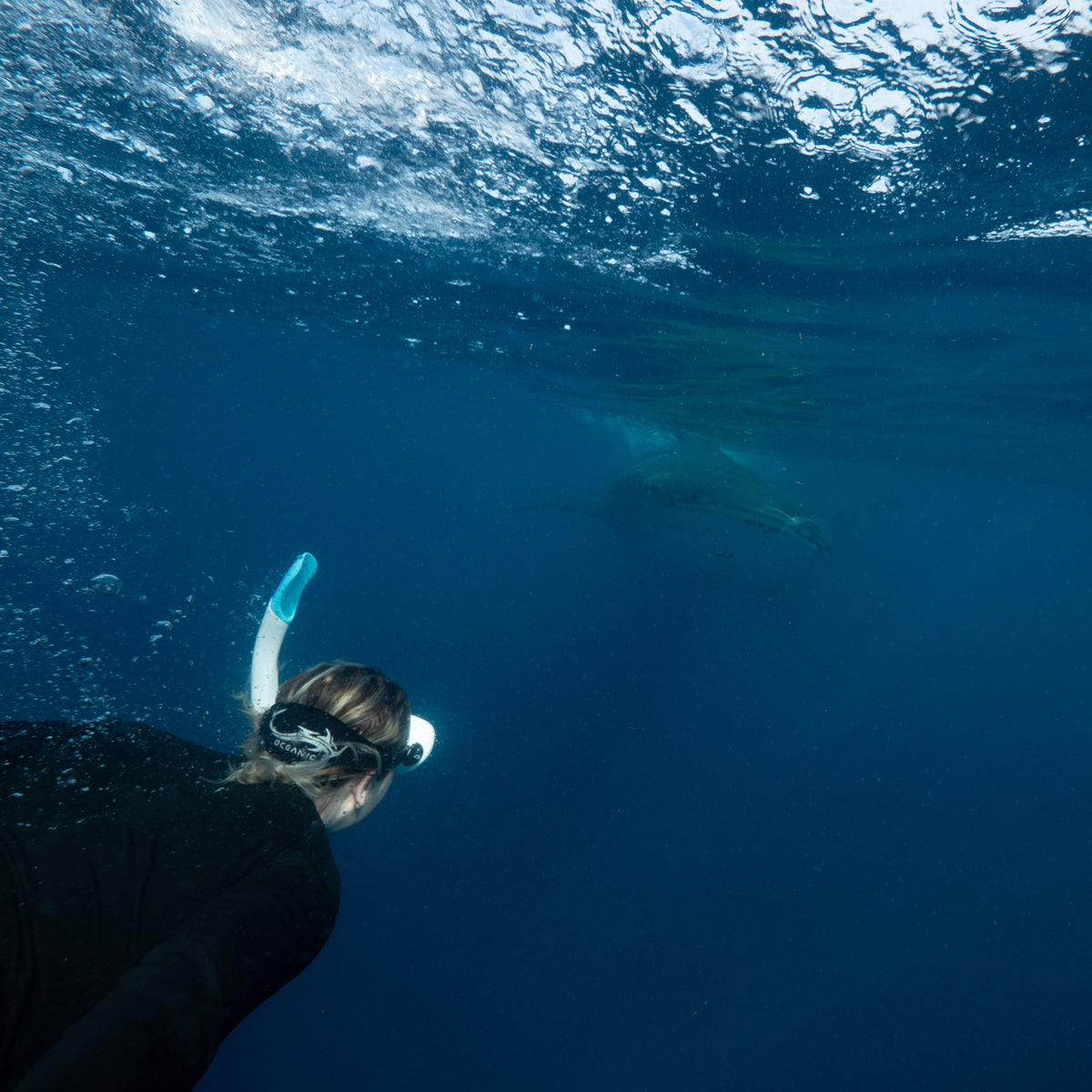 Oceanic Ultra SD Semi-Dry Snorkel